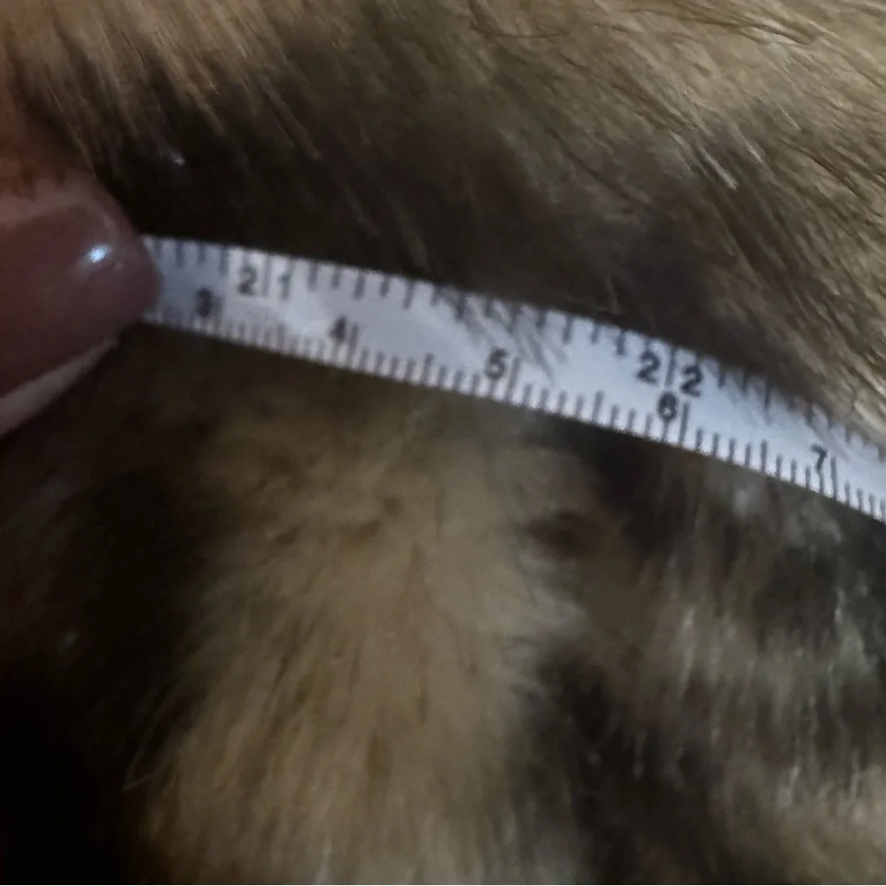 Donna Salyers Fabulous Cheetah Faux Fur Coat - Picture 4 of 4